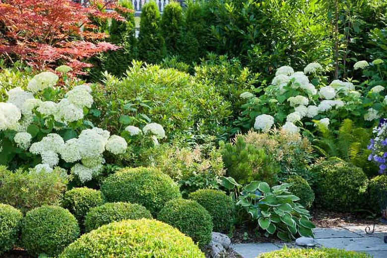 Combination of Enchanting Plants, Perfect Garden Design in Germany