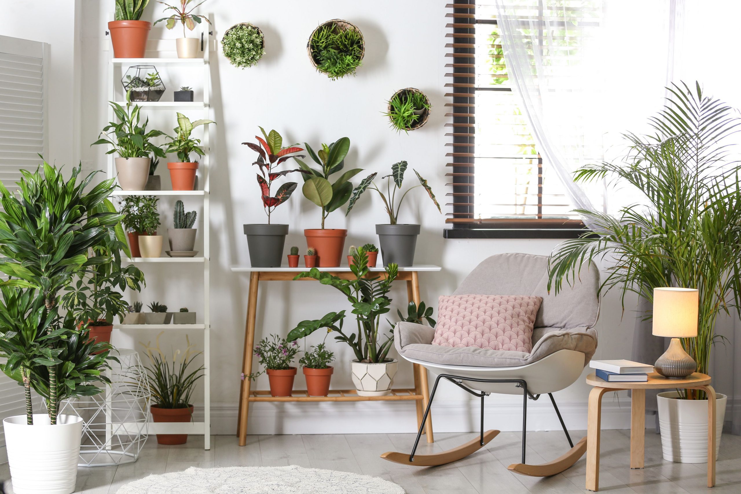 Indoor Plants Decor Ideas