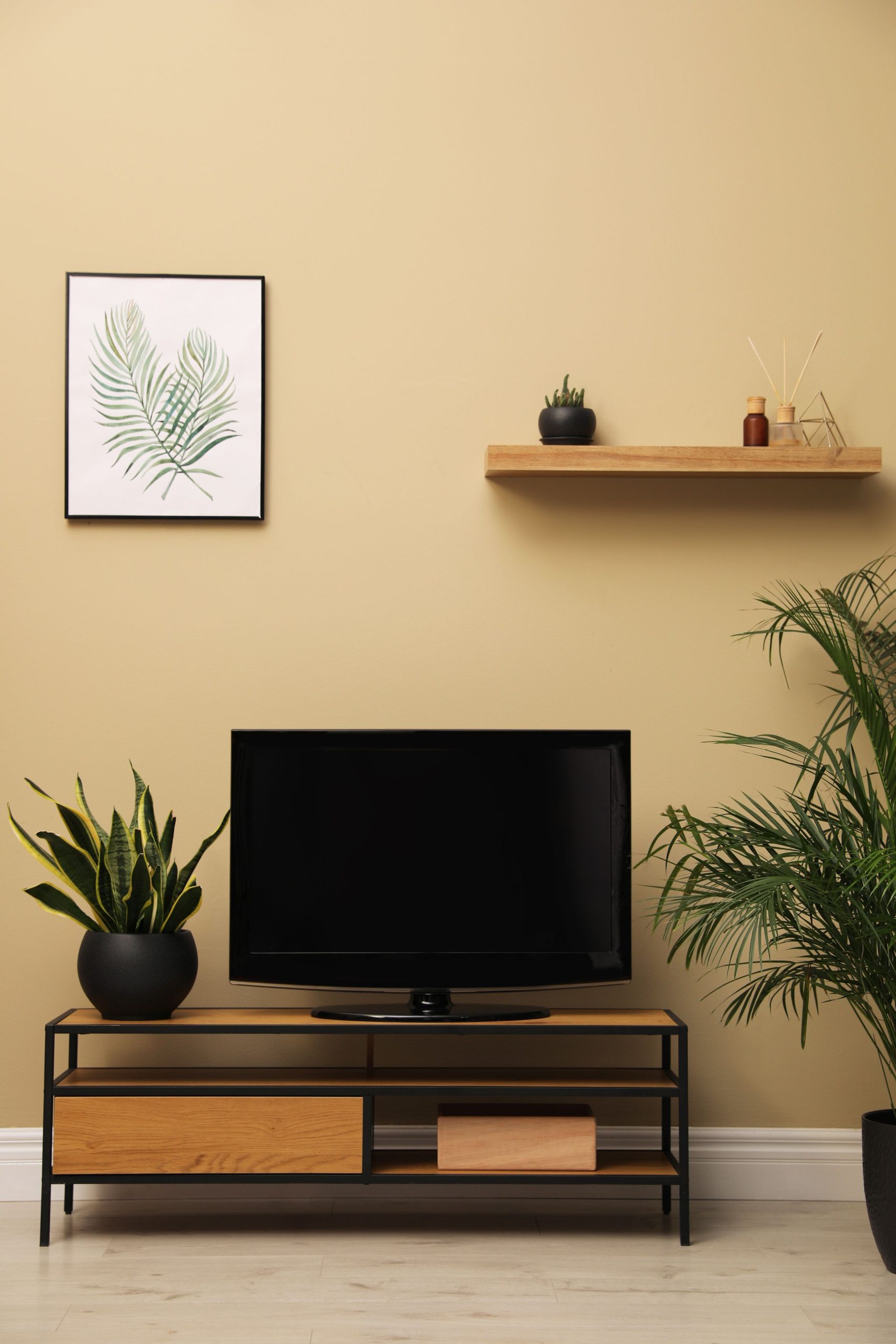 Eleganza Console Designs for Living Room