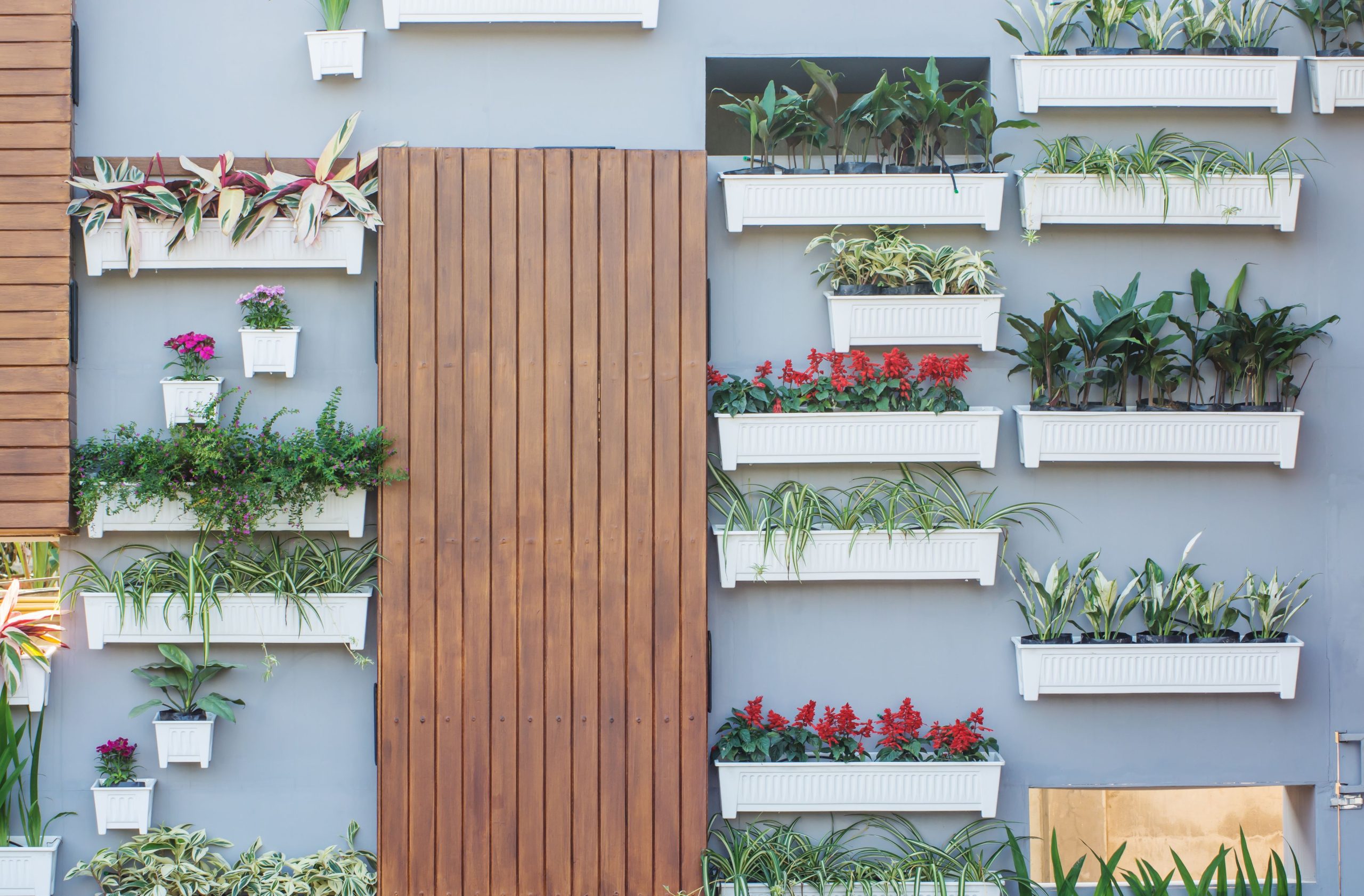 Graceful Plant Wall Decor Ideas