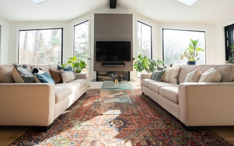 Magnificent Living Room Rugs