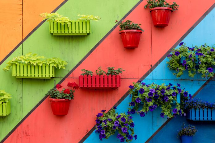 Plant Wall Decor Ideas
