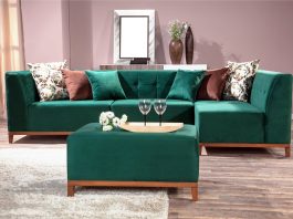 Small living room L Shaped Sofa Designs